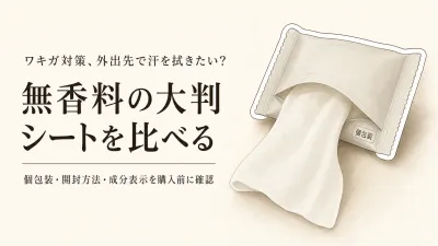 楽天でレビュー数の多い個包装ボディシート3選｜無香料・大判・袋の開けやすさを比較